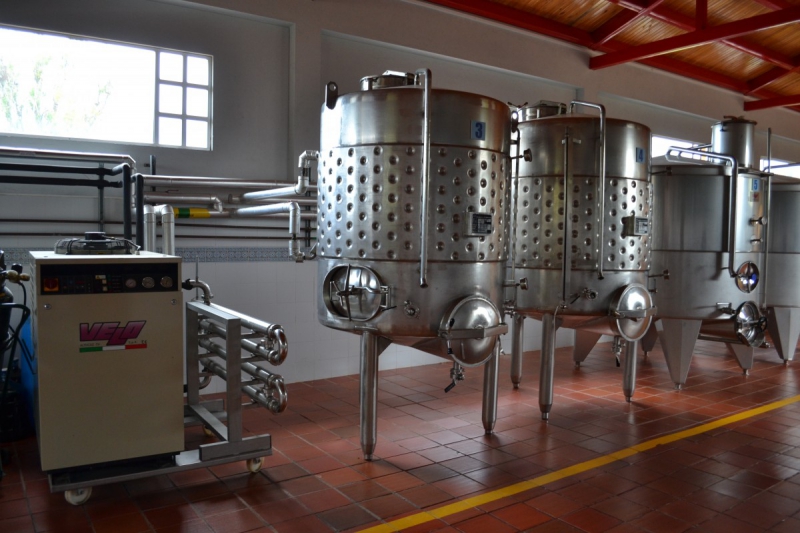 cave-CANTARON-min_wine_production_cantine_winery_drink_alcohol_vine_beverage-902036